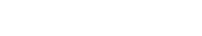 Logo footer